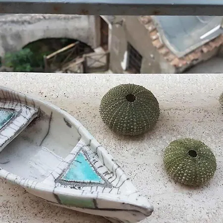 Vaspas The Coast Dream *