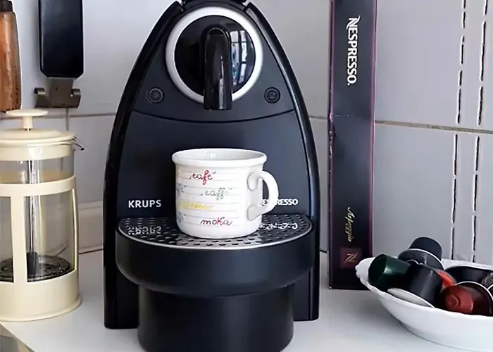 Vaspas The Coast Dream *