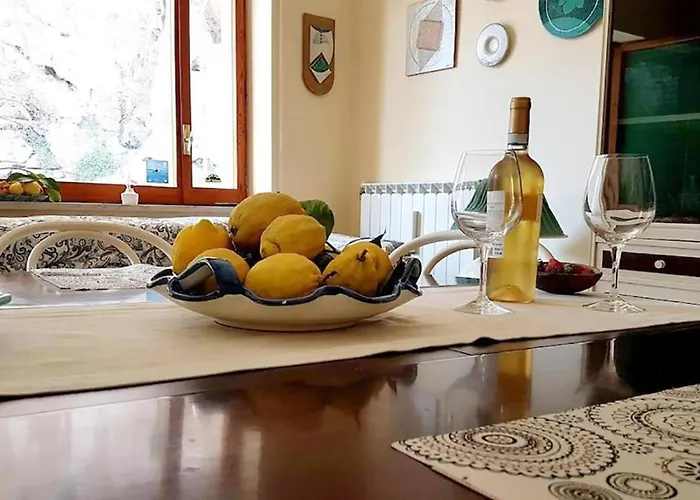 Vaspas The Coast Dream *