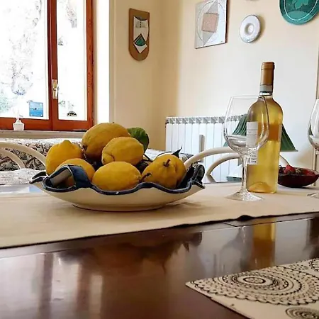 Vaspas The Coast Dream *