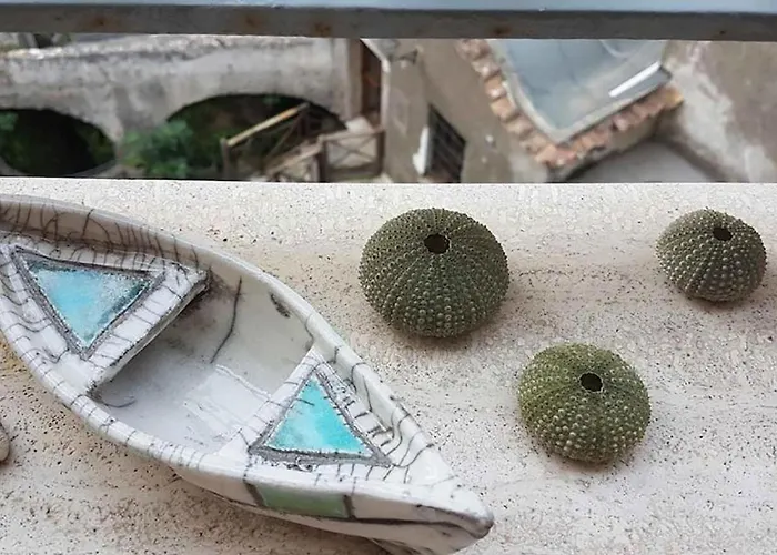 Vaspas The Coast Dream *